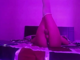 Pretty boy in lingerie seductively dances and reveals his genitals and anal toy