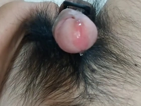 amateur