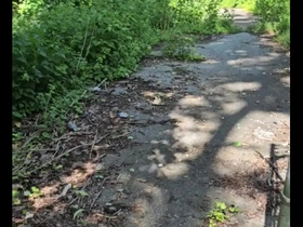 First time pleasuring myself in the woods